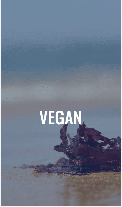 Vegan